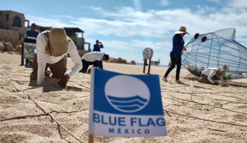 Inspectores de Blue Flag México realizaron la auditoría y revisión 2024